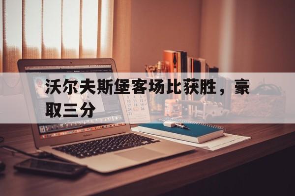 九州官方网站-沃尔夫斯堡客场比获胜，豪取三分(沃尔夫斯堡足球)